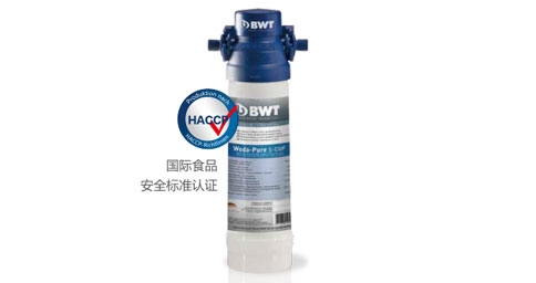 BWT Woda-Pure s超能係列91香蕉视频在线下载器
